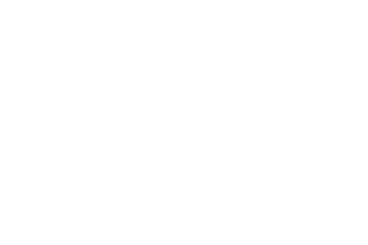 Nia Logo Ico Only White — Image | NextGen Intl Agency