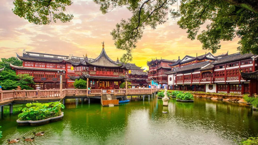Shanghai | NextGen Intl Agency